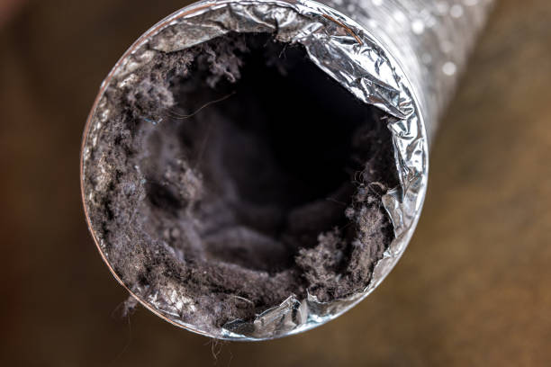 Best Air Duct Cleaning Cost  in Valencia, NM